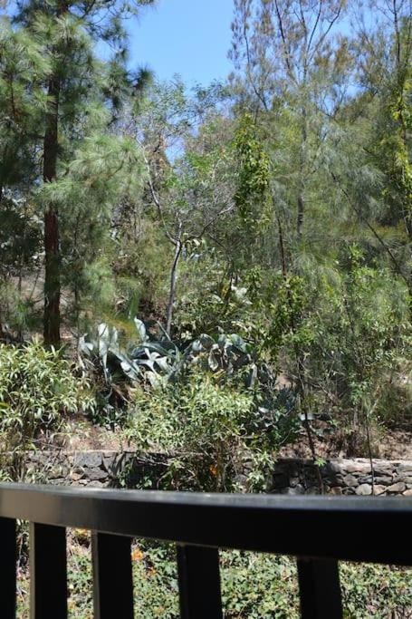 Pushe Village Las Gaviotas Nature & Relax Salobrena Exterior photo
